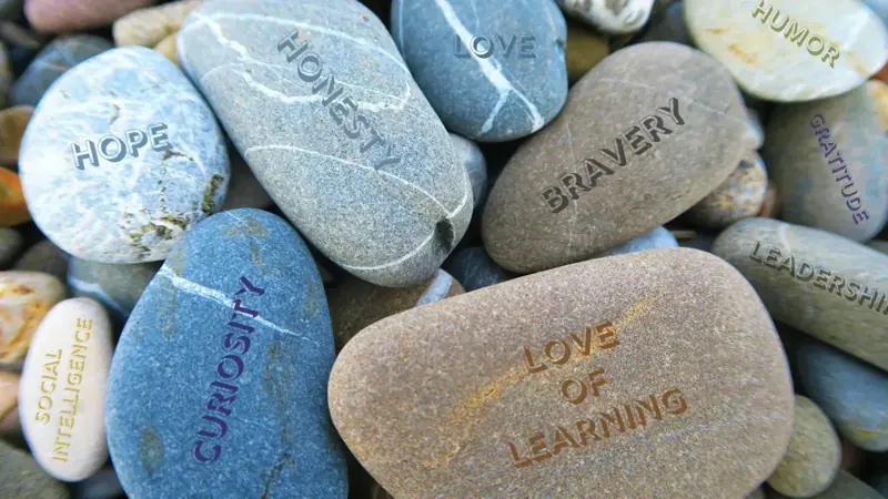 The 24 character strengths from positive psychology
