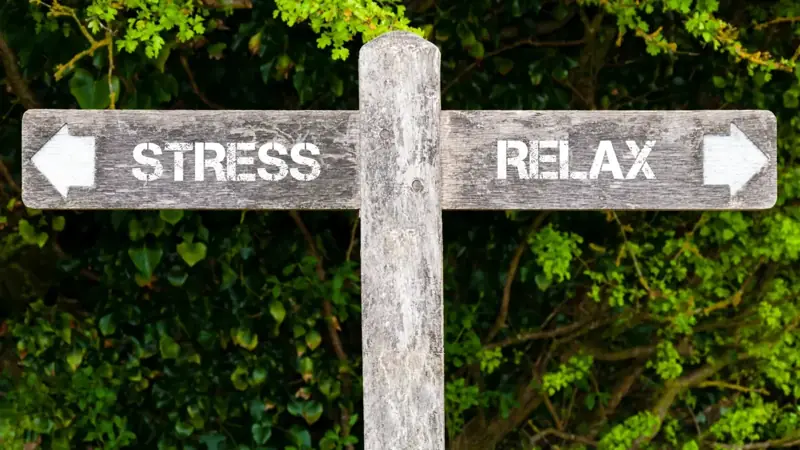 Six ways to lower cortisol and reduce anxiety